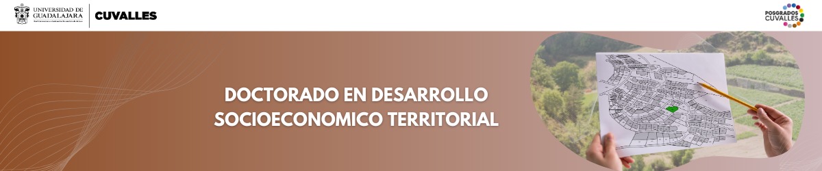 Doctorado en Desarrollo Socioeconómico Territorial 