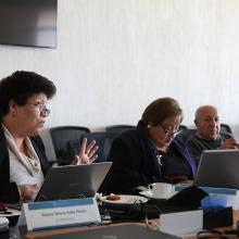 Comisión de pares académicos externos del CIEES